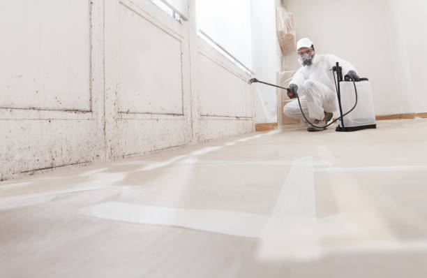 24/7 Emergency Mold Inspection experts in Barrington, NJ