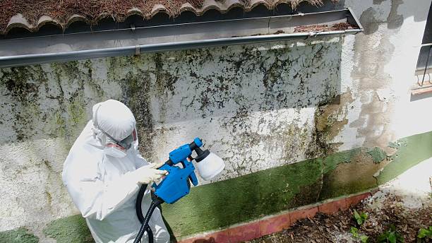 Top rated local Mold Inspection specialists in Barrington, NJ